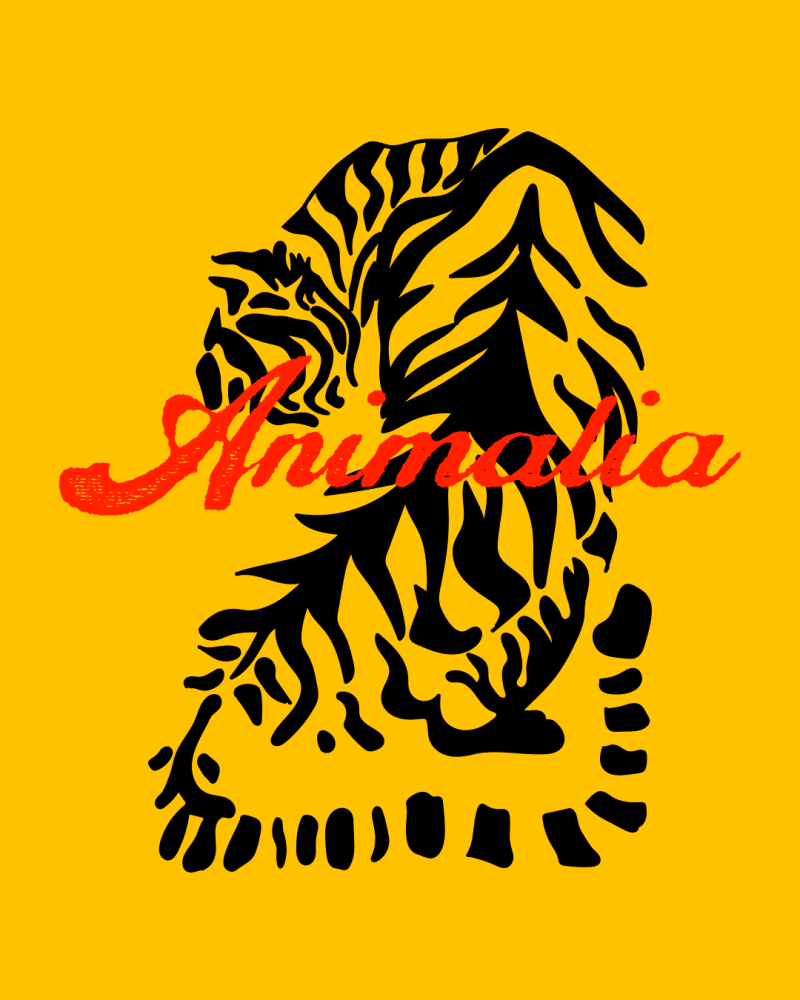 ANIMÁLIA #1 - SALVADOR